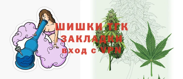 ПСИЛОЦИБИНОВЫЕ ГРИБЫ Вязники