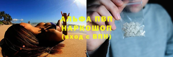 ПСИЛОЦИБИНОВЫЕ ГРИБЫ Вязники