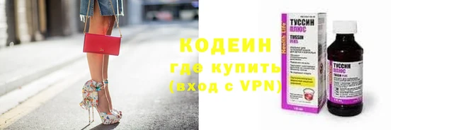 ПСИЛОЦИБИНОВЫЕ ГРИБЫ Вязники
