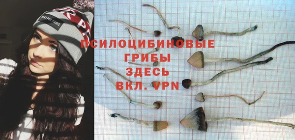 ПСИЛОЦИБИНОВЫЕ ГРИБЫ Вязники