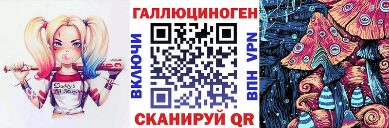 закладка Горнозаводск OMG зеркало Псилоцибиновые грибы Magic Shrooms